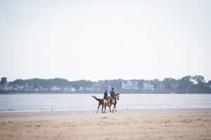 Les campings au Lavandou avec piscine, pour des vacances rafraîchissantes sous le soleil varois